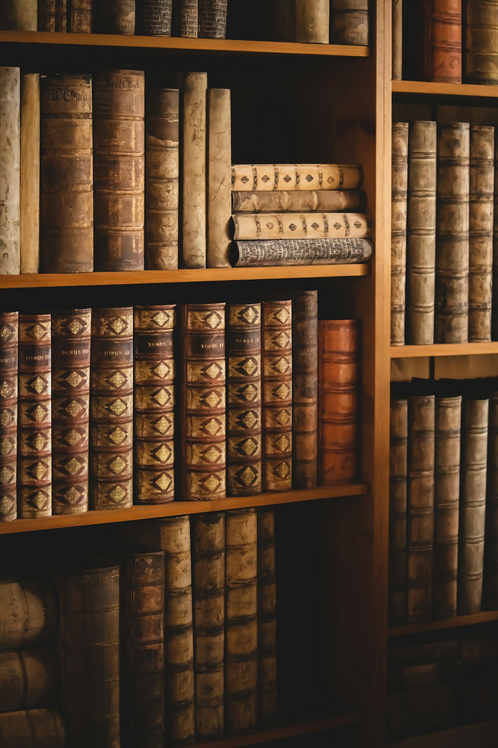 brown wooden shelf with books