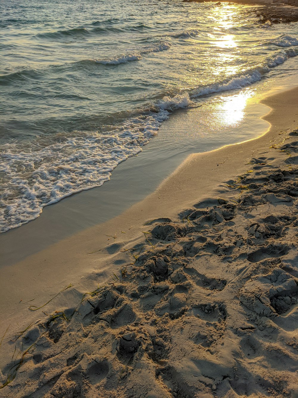 日中の茶色の砂浜