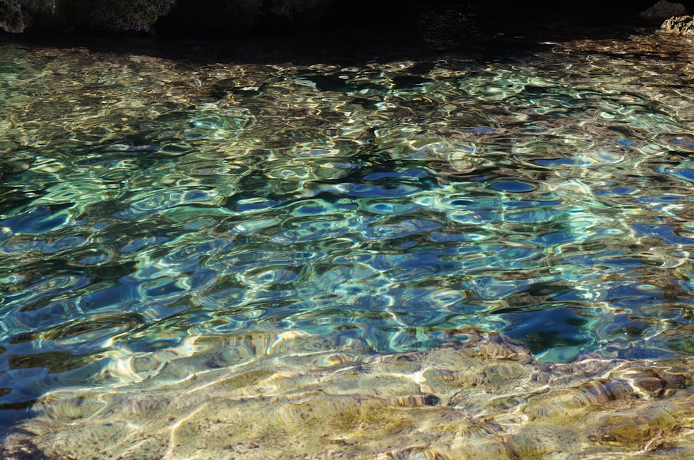 body of water near gray rocks during daytime