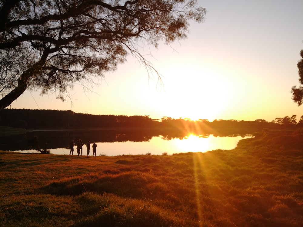 silhouette of people walking on grass field during sunset