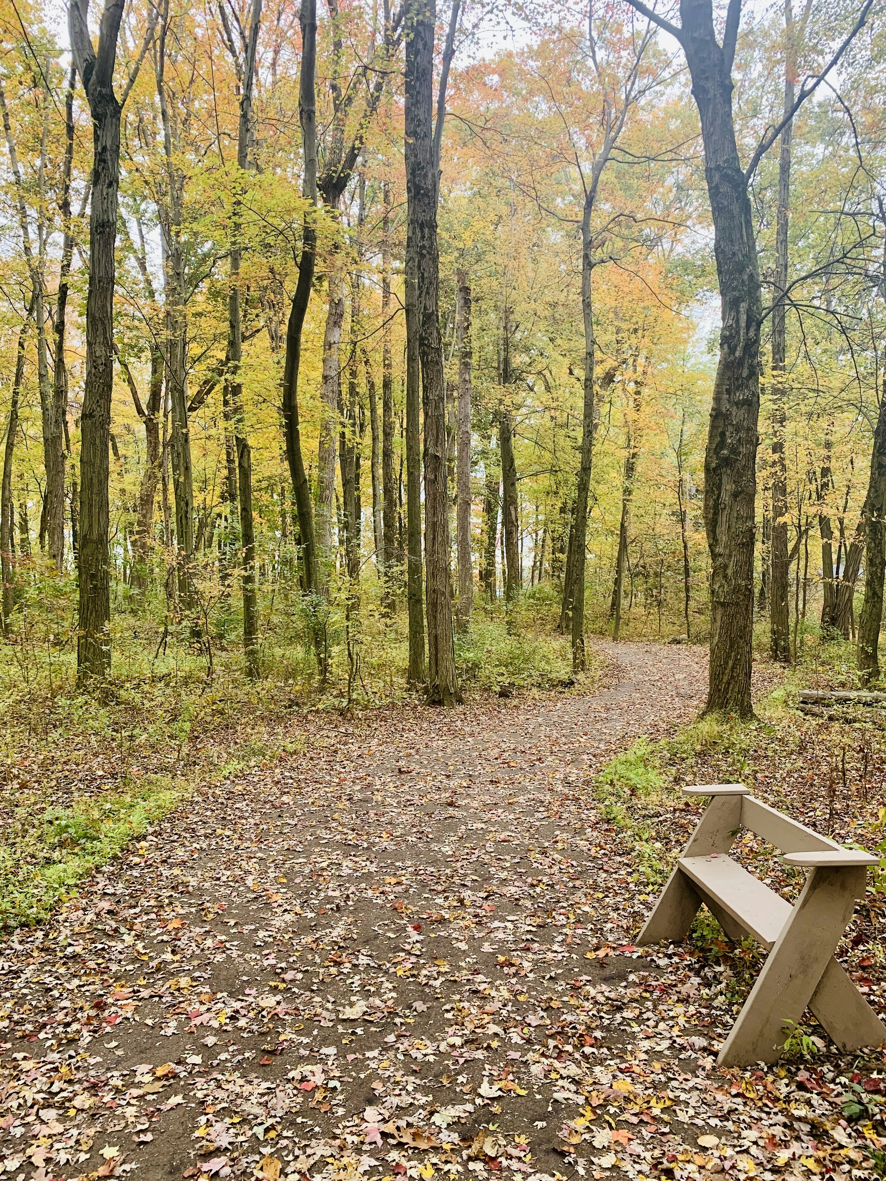 Photo by tgills19548