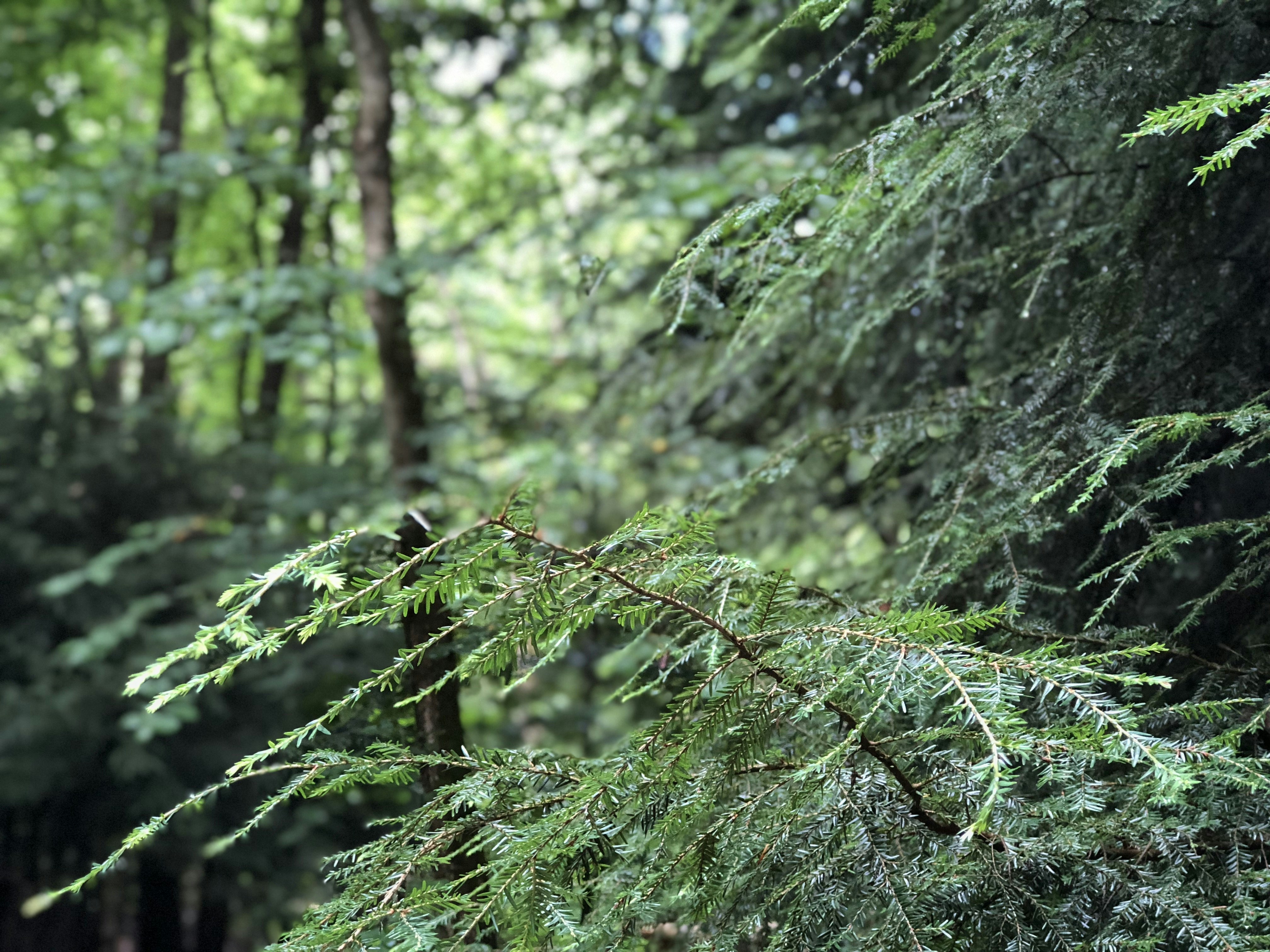 Photo by tgills19548