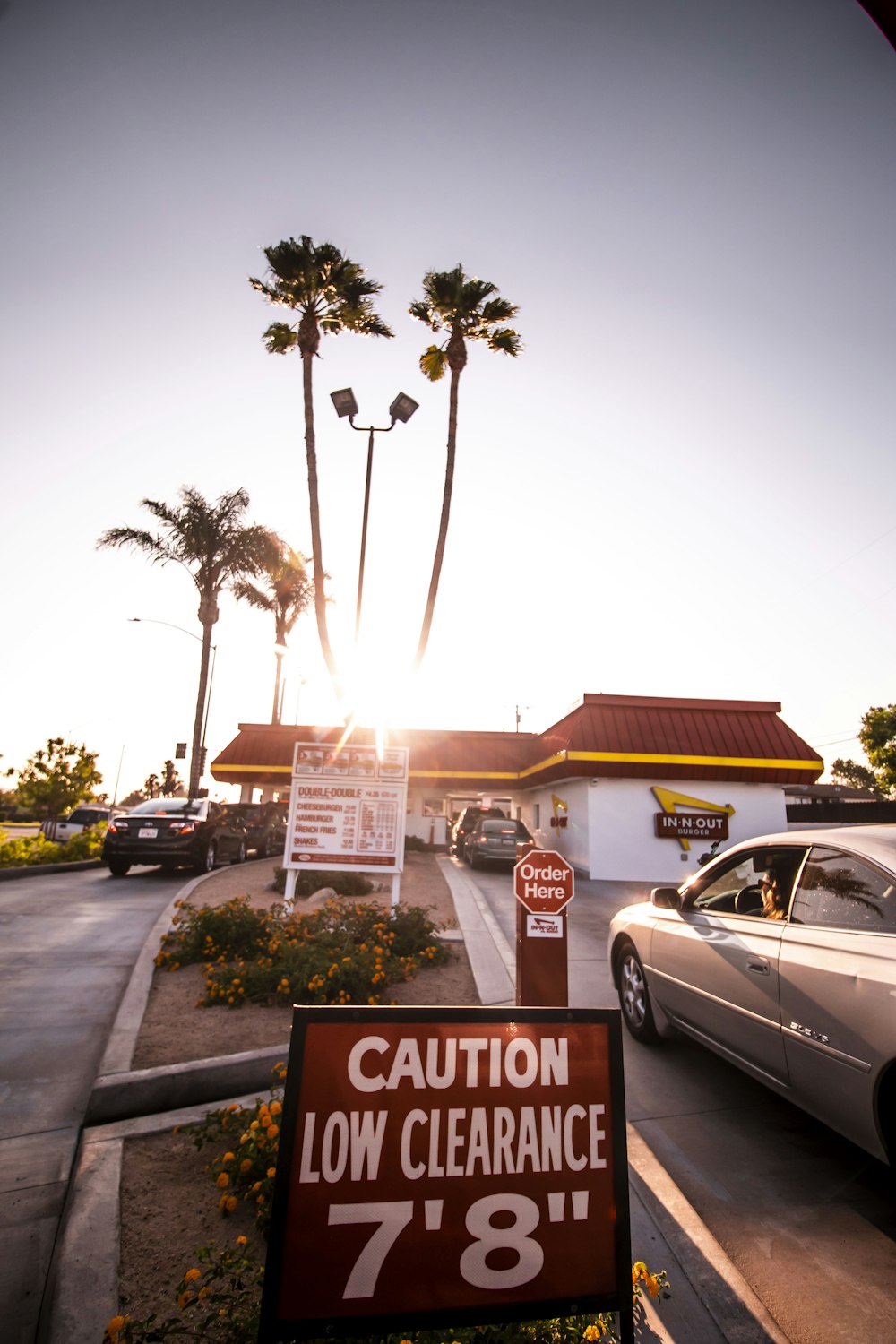 white sedan parked near palm trees during daytime