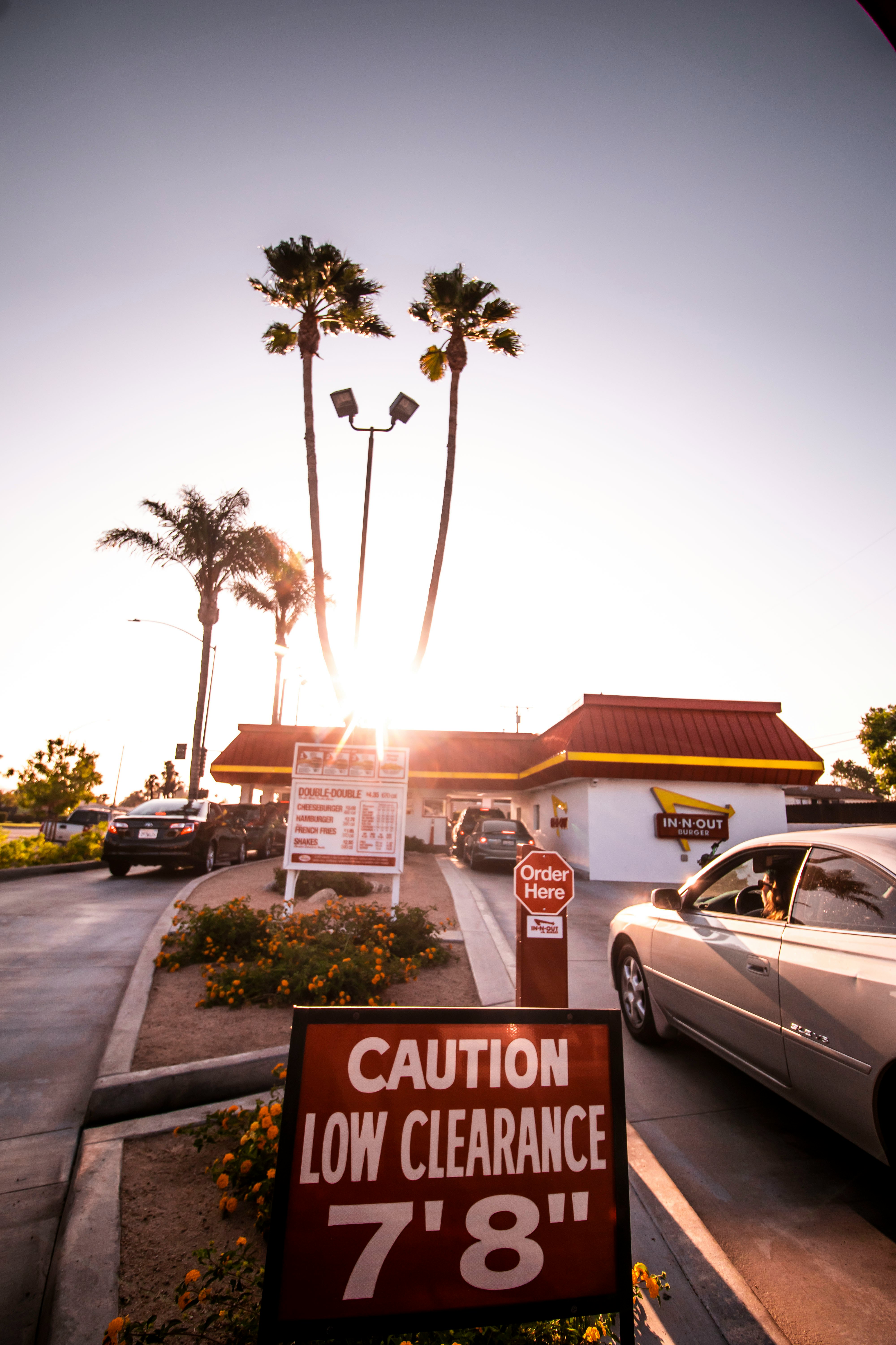 white sedan parked near palm trees during daytime