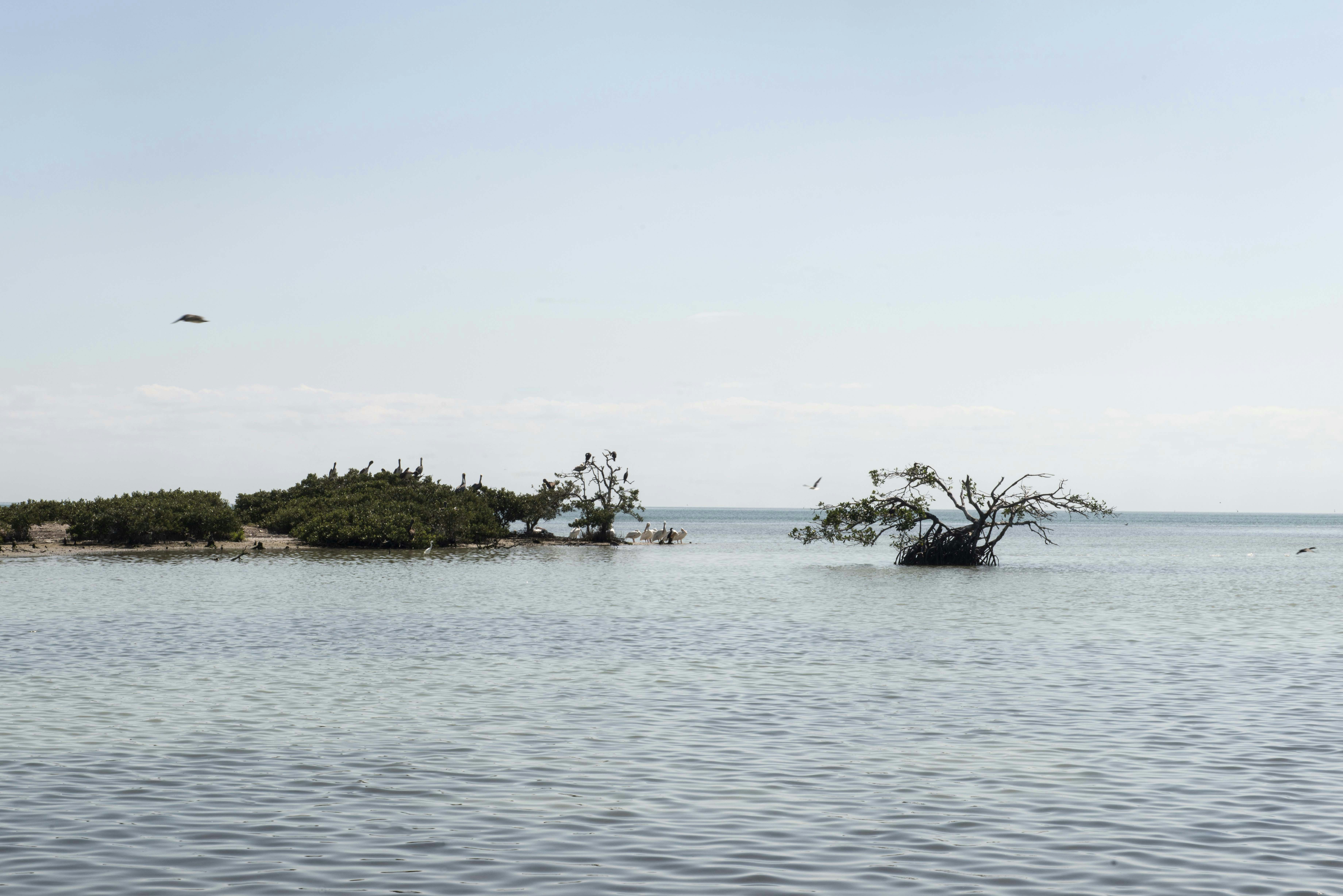 Photo by carlosaranda