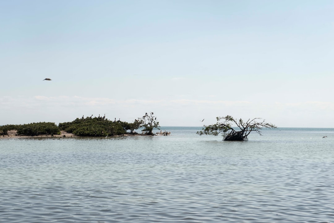 Waterway photo spot Isla Aguada Mexico