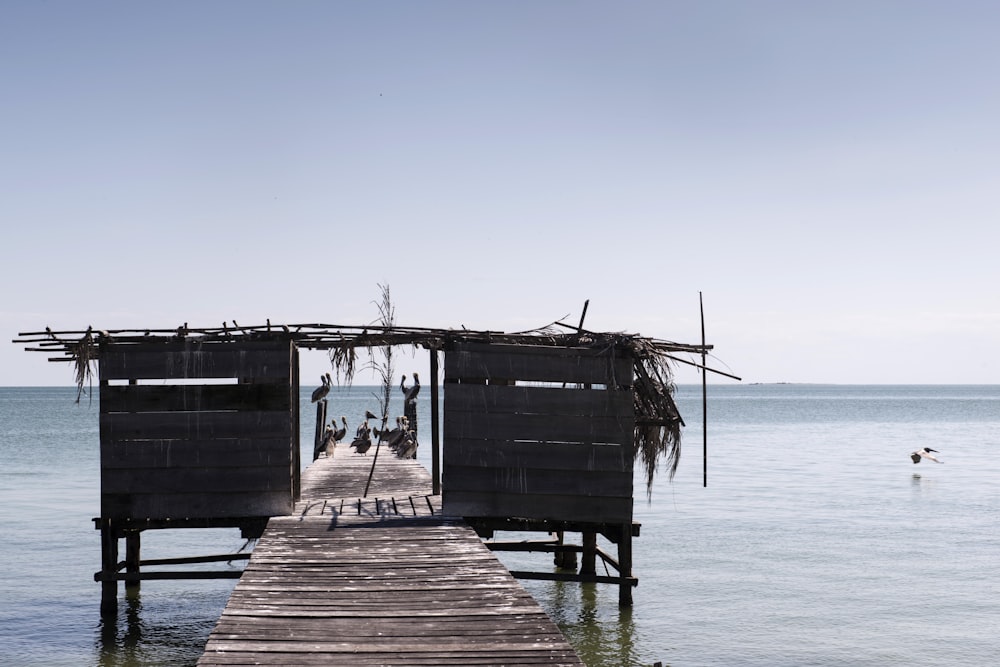 brown wooden dock on sea during daytime