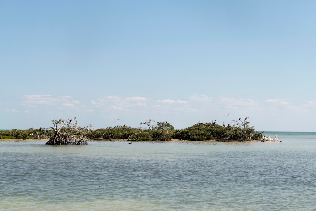 Shore photo spot Isla Aguada Mexico