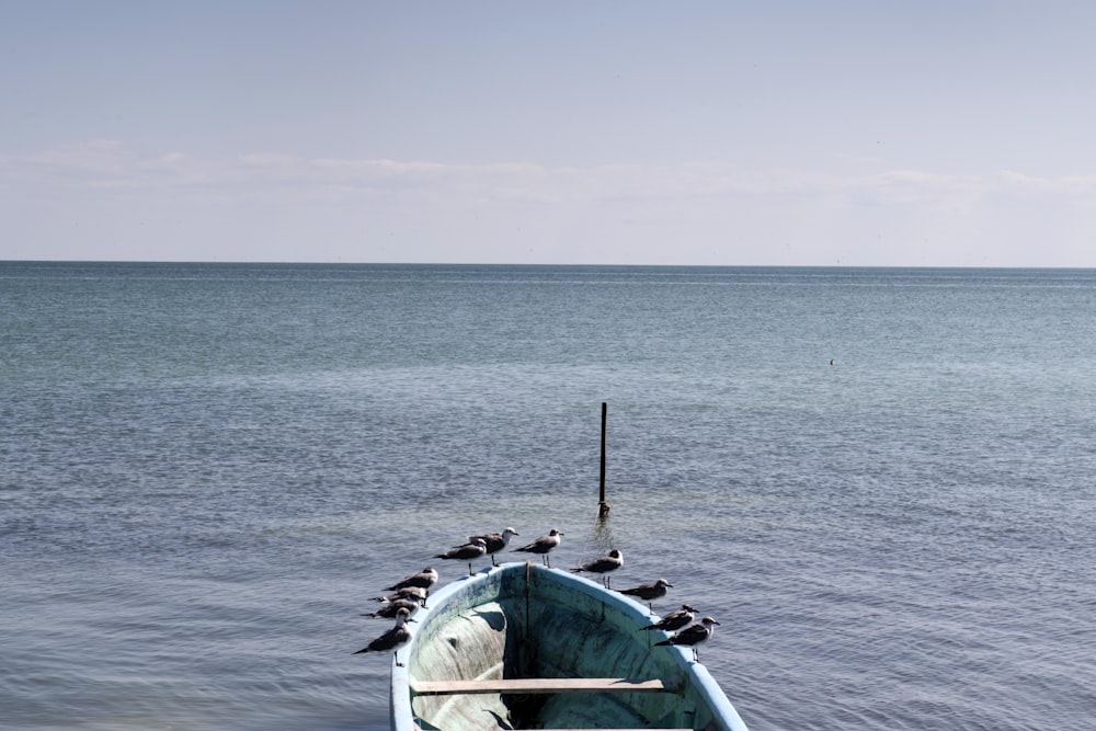 green boat on sea during daytime