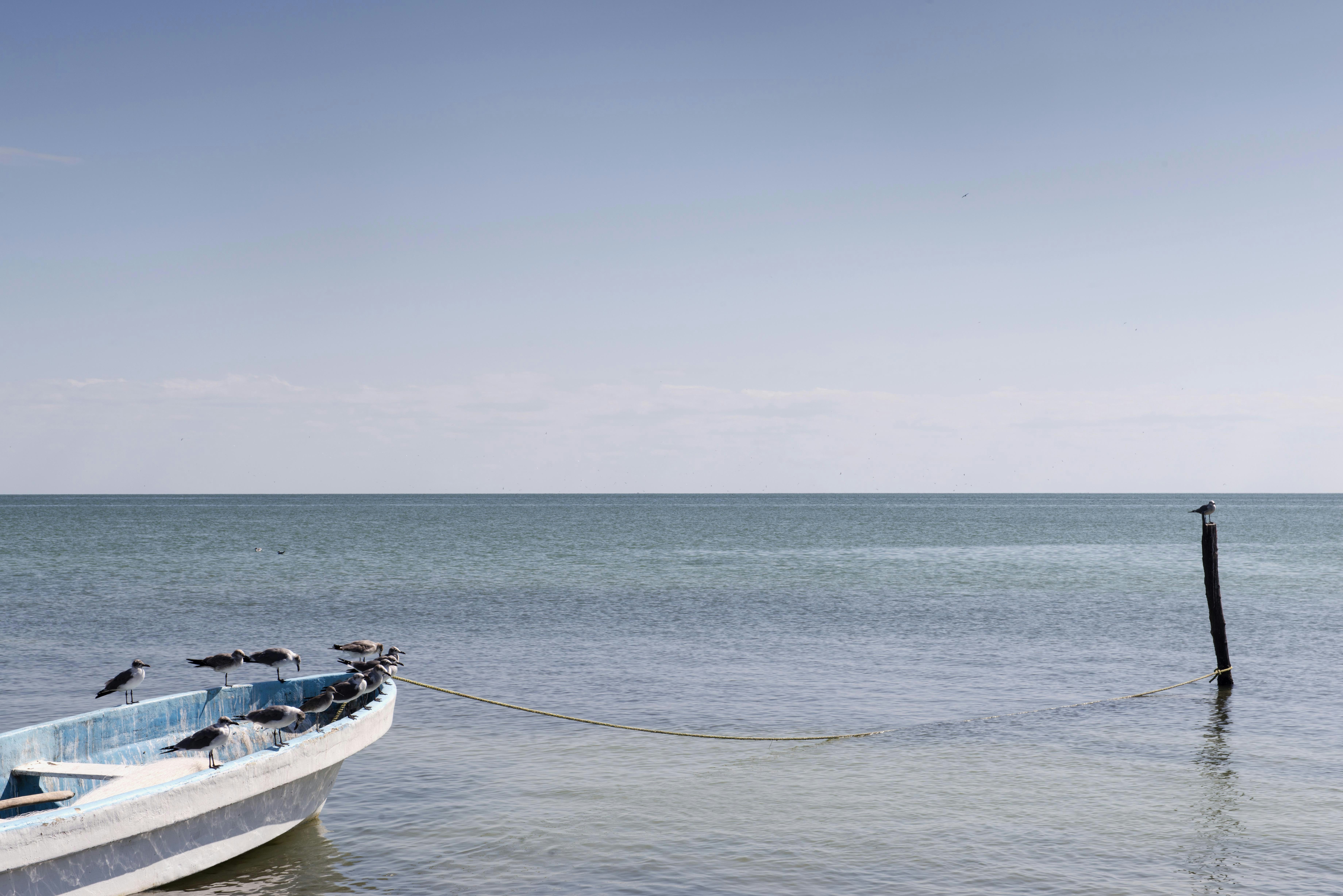 Photo by carlosaranda