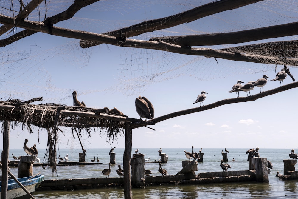 people on beach during daytime