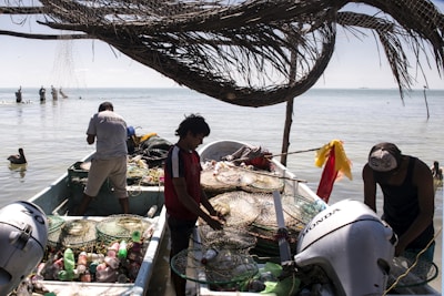 Several people are on fishing boats by the shore, sorting through fish traps and nets. The boats are filled with various fishing gear and plastic bottles. Overhead, a large structure made of woven branches provides some shade. In the background, there is calm water with birds perched on posts near the horizon.