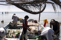 Several people are on fishing boats by the shore, sorting through fish traps and nets. The boats are filled with various fishing gear and plastic bottles. Overhead, a large structure made of woven branches provides some shade. In the background, there is calm water with birds perched on posts near the horizon.