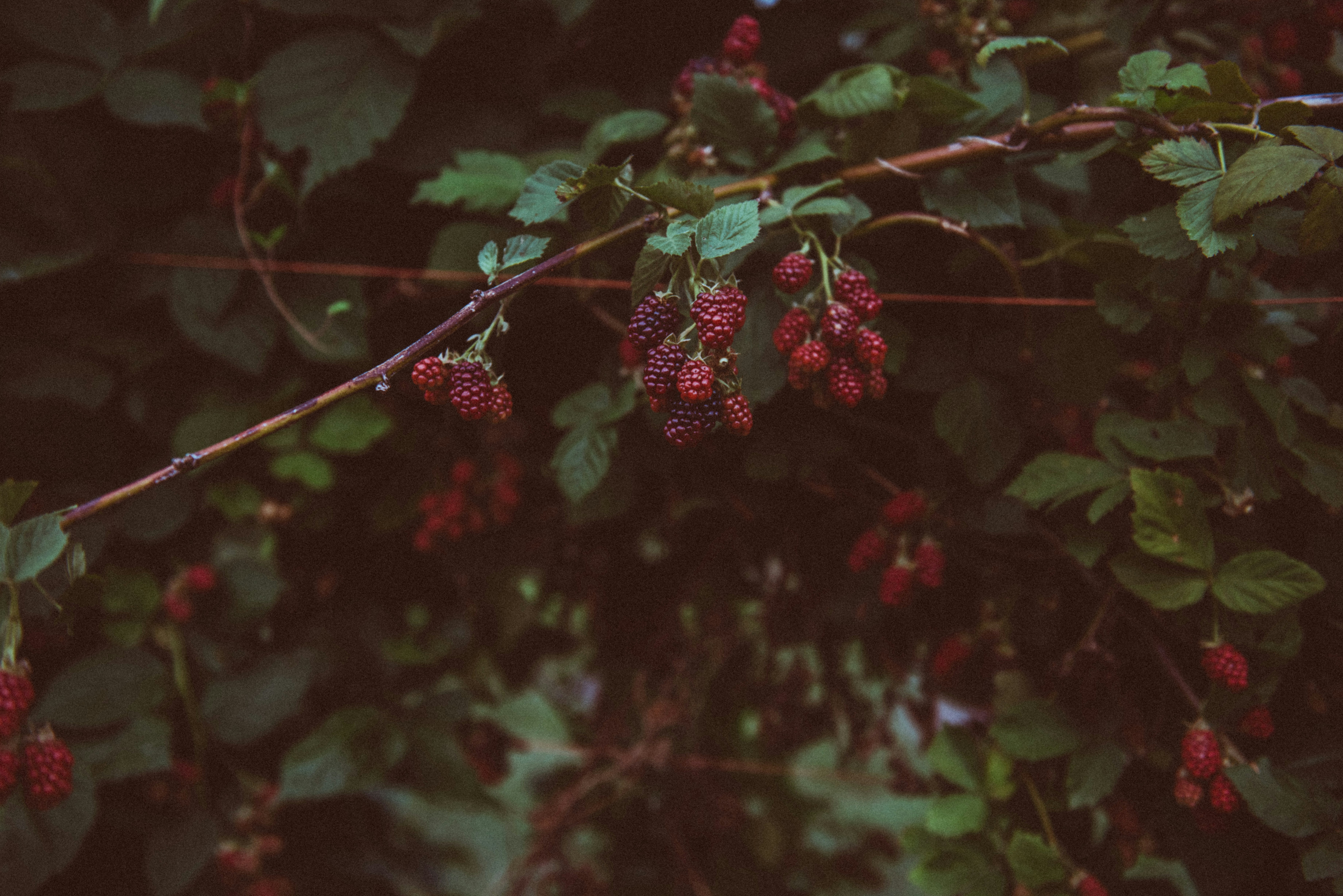 Photo by audreyannamaro