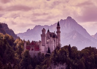 white and black castle on top of mountain