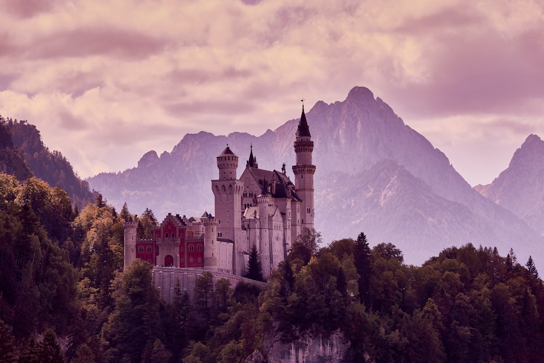 white and black castle on top of mountain, Castle Neuschwanstein