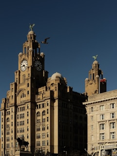 A large, historic building features a clock tower with prominent sculptures on top, set against a clear blue sky. The structure has architectural detailing and is flanked by another ornate building on the right. A bird is flying near the clock tower, and a statue of a person on horseback is visible in front of the building. There is also a vehicle with 'Liverpool City' on it.