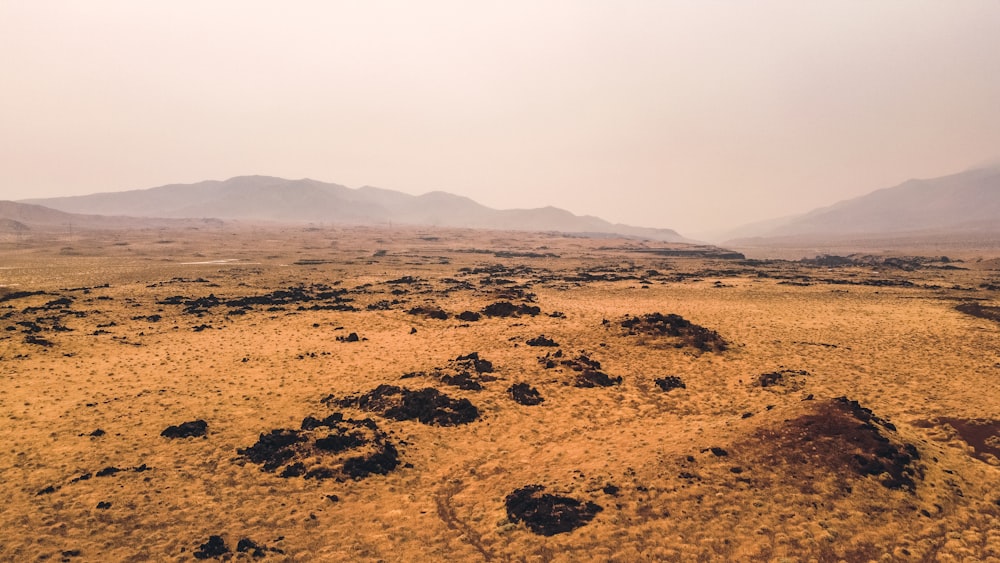 brown field under white sky during daytime