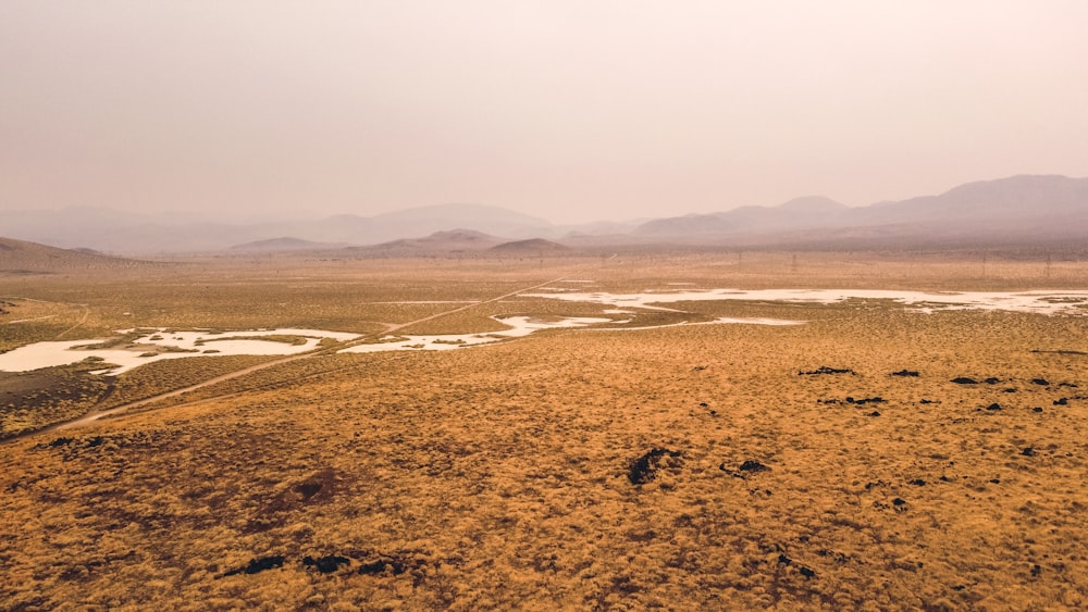 brown sand near body of water during daytime