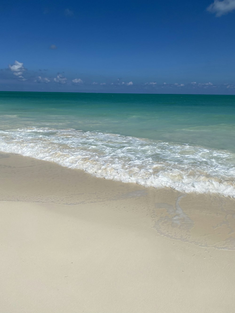 Onde del mare che si infrangono sulla riva durante il giorno