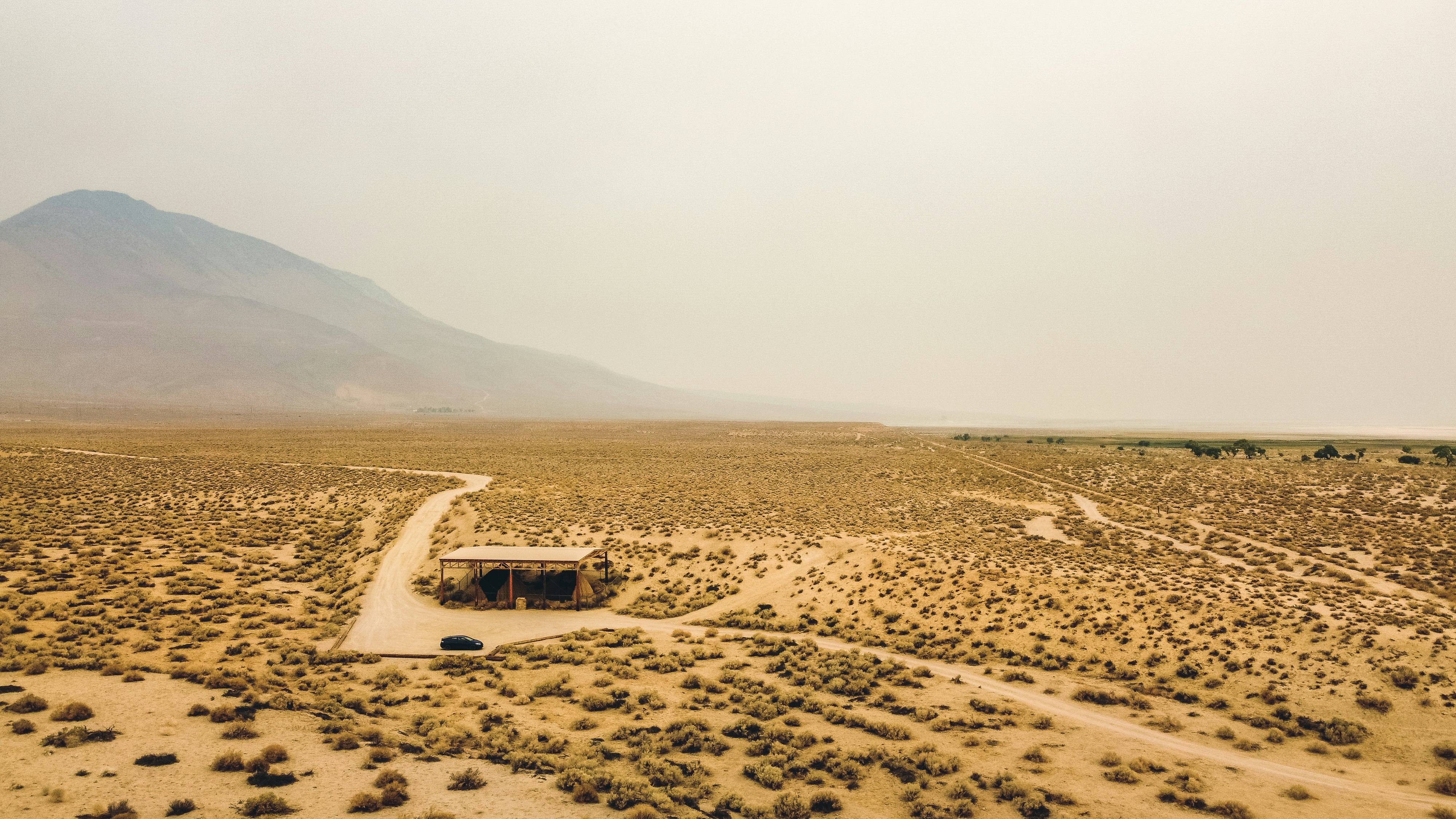 white car on brown sand during daytime