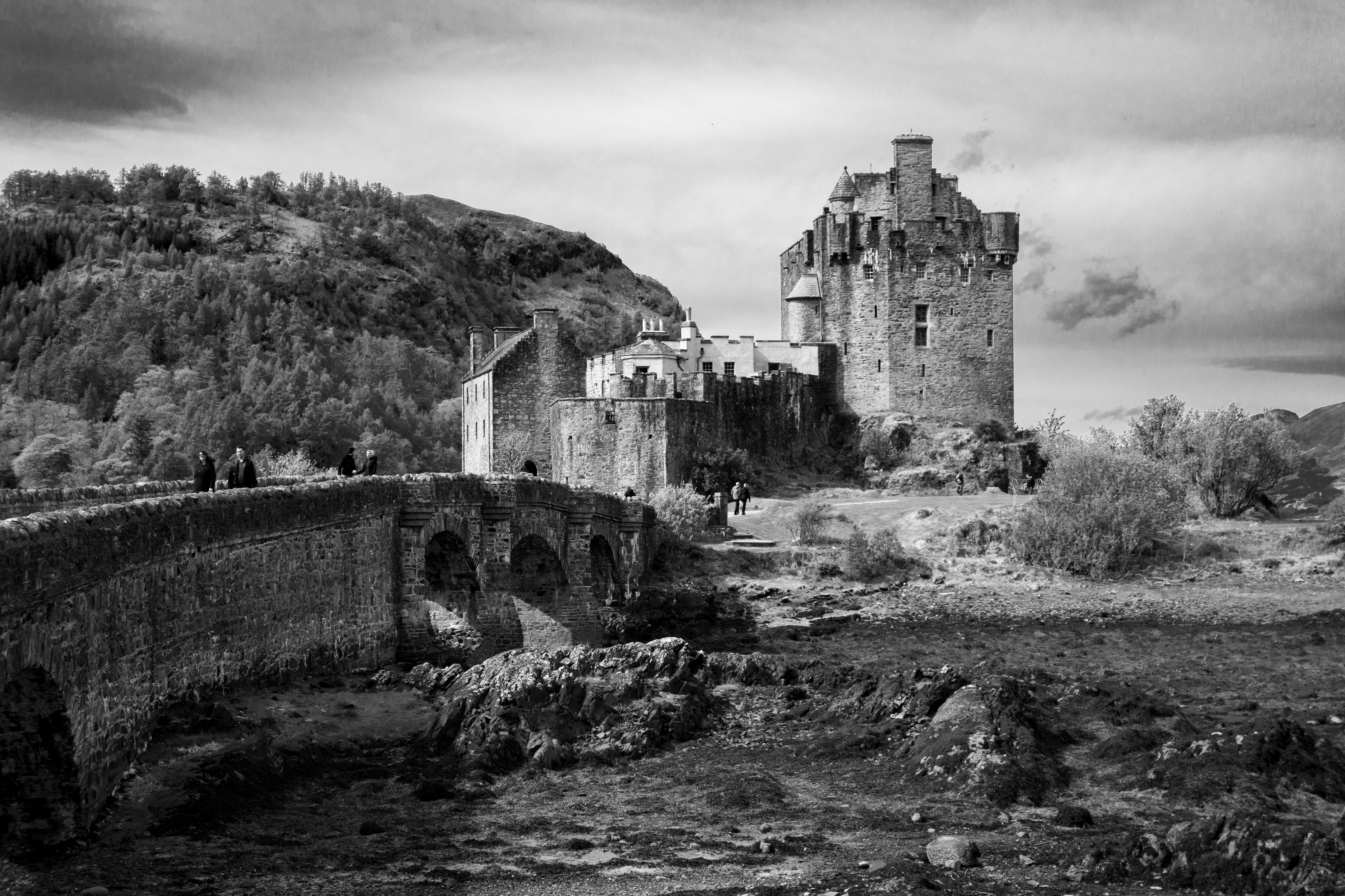 Photo by bjwhite66212