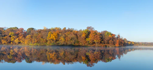 A serene landscape showing a calm lake reflecting colorful autumn trees