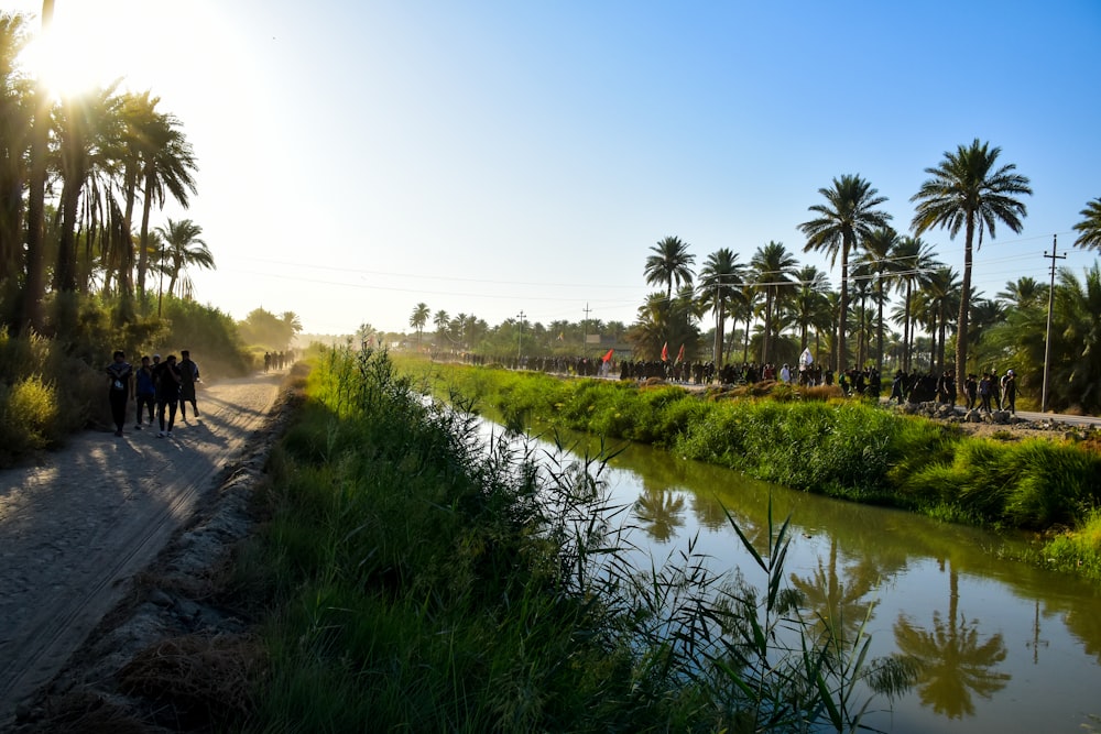 Herbe verte et arbres près de la rivière pendant la journée