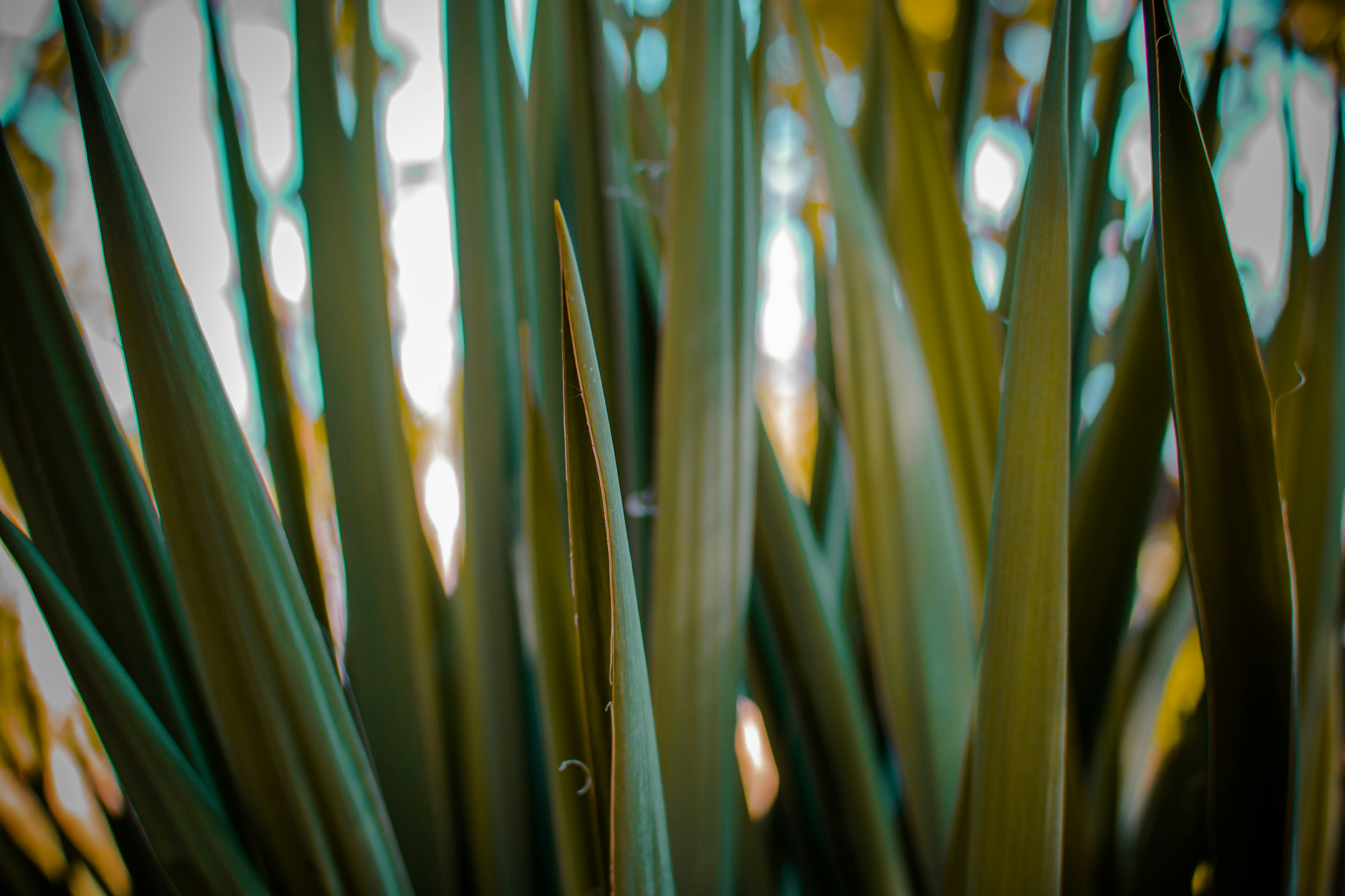 Photo by slavabirsack