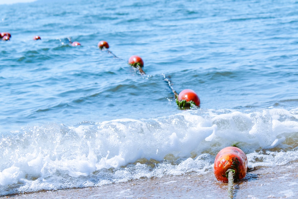a row of buoys in the water on a beach