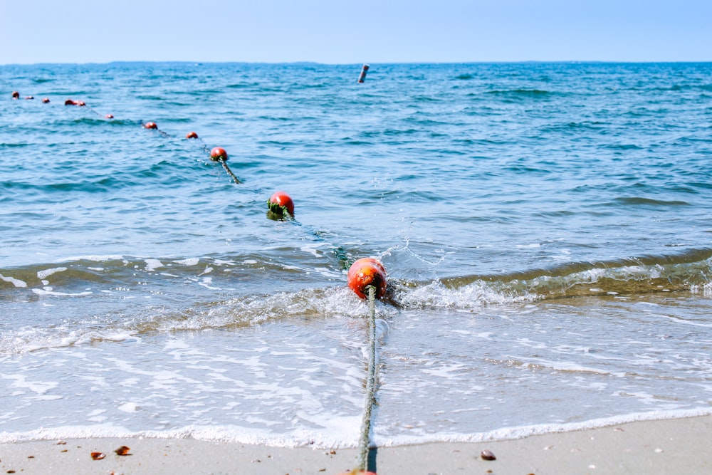 Gente en la playa durante el día