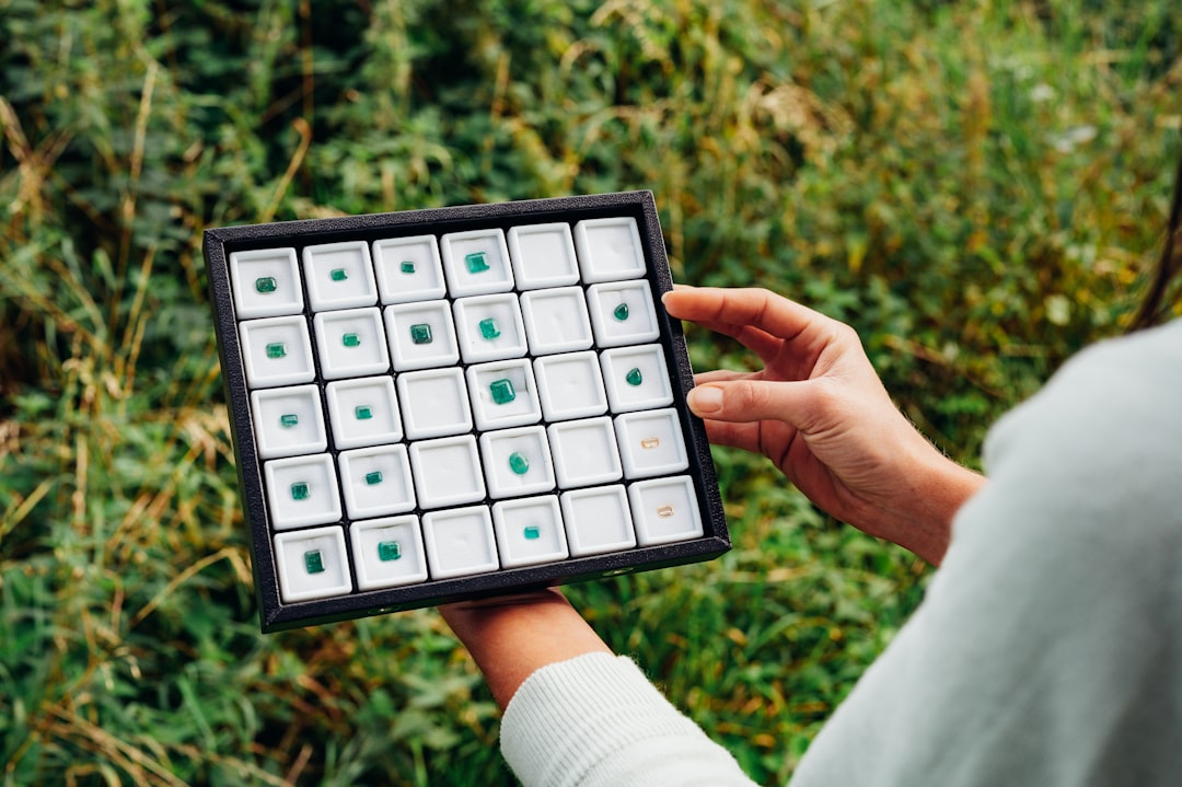 person holding black and white chess board