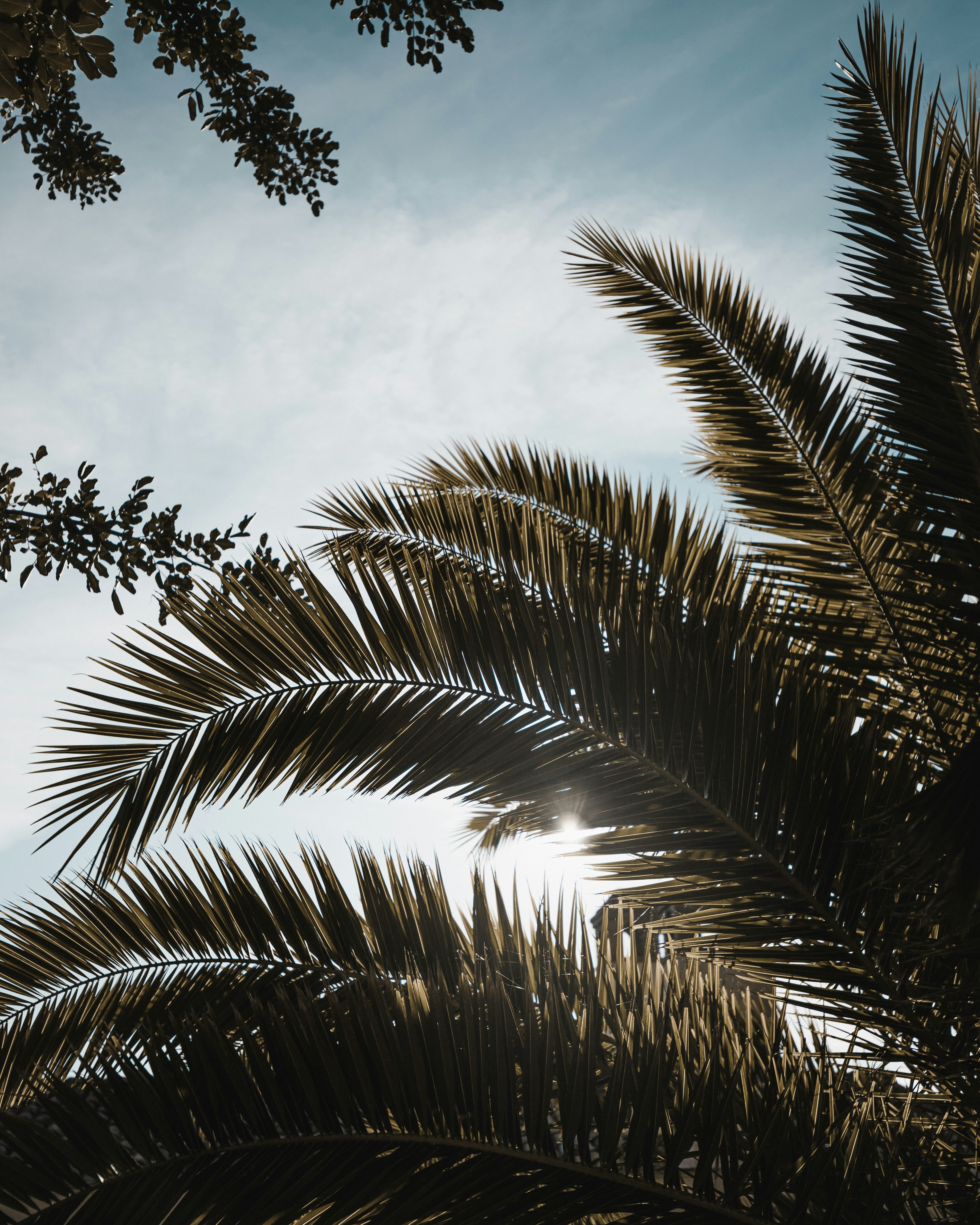 Photo by adamneumann