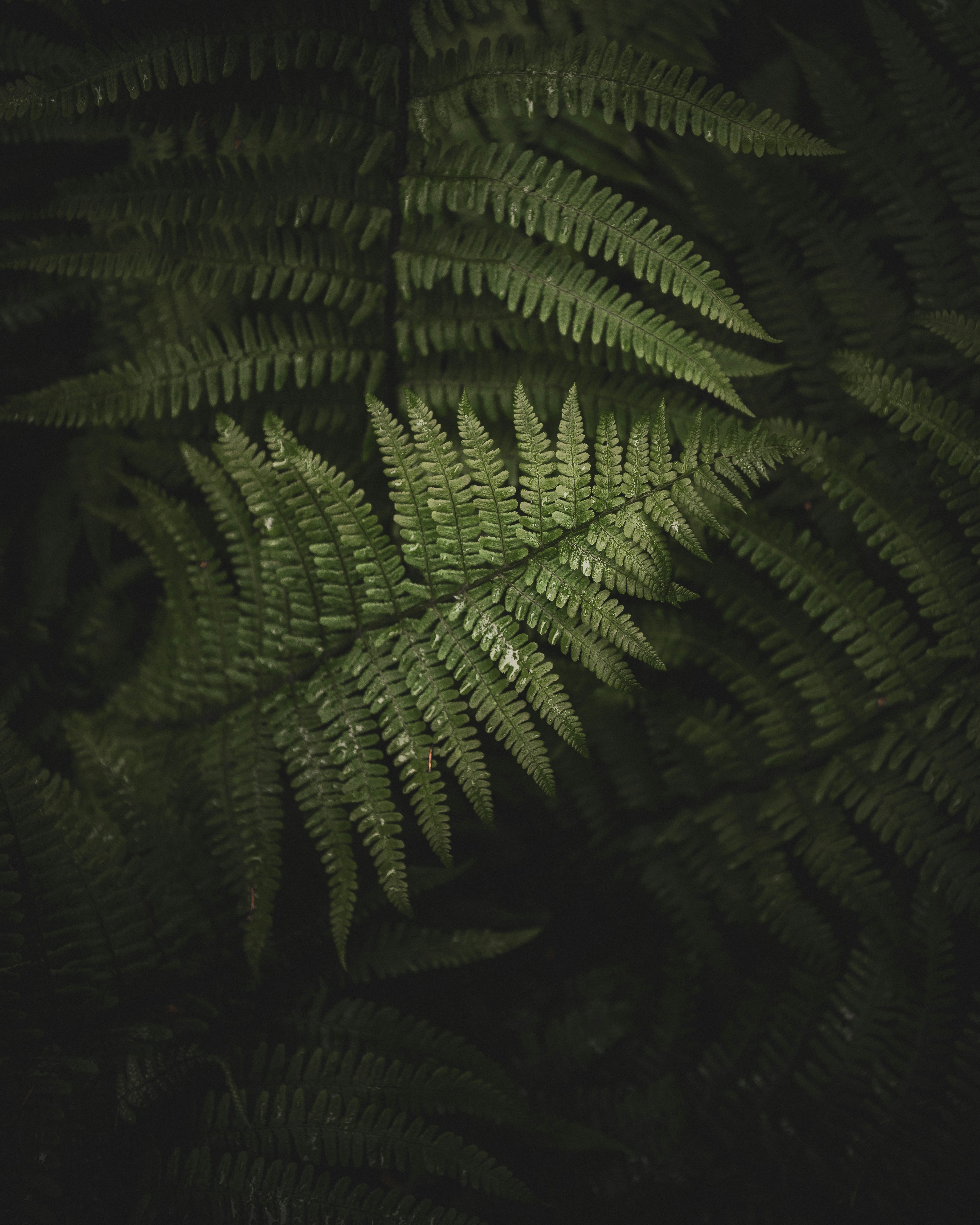 Photo by adamneumann