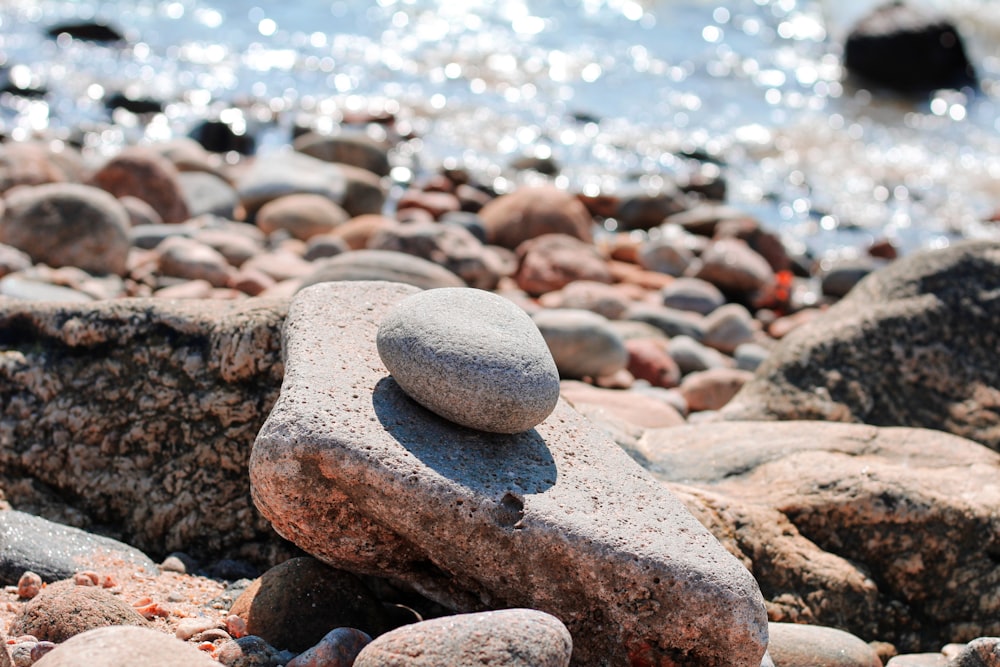 gray and black stone on brown sand near body of water during daytime