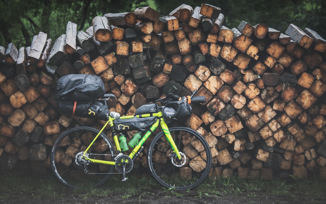 green and black mountain bike beside brown wood logs