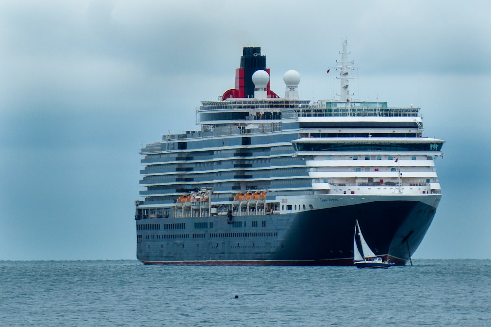 weiß-schwarzes Kreuzfahrtschiff auf See tagsüber