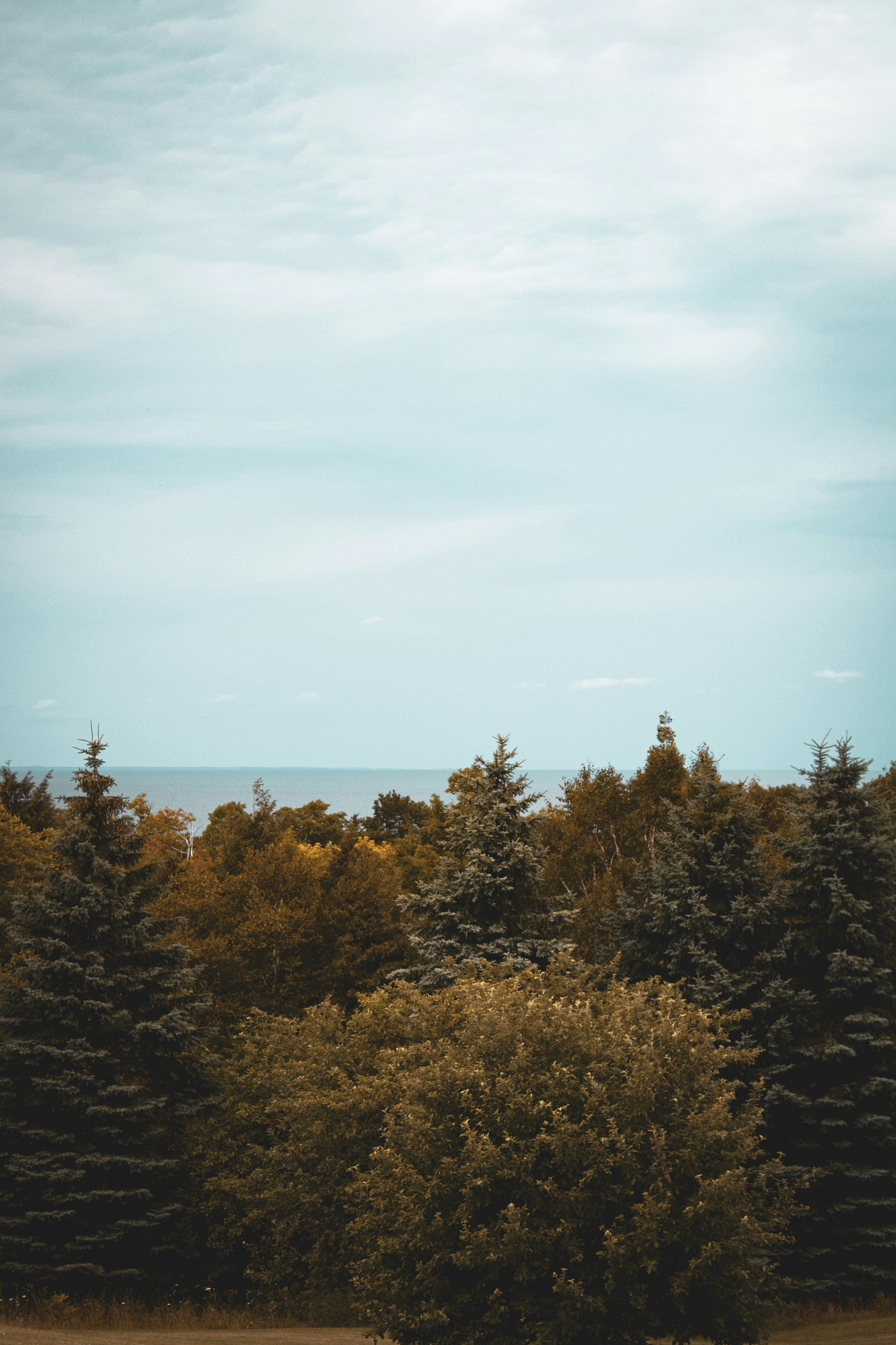 Photo by gabriel_meinert