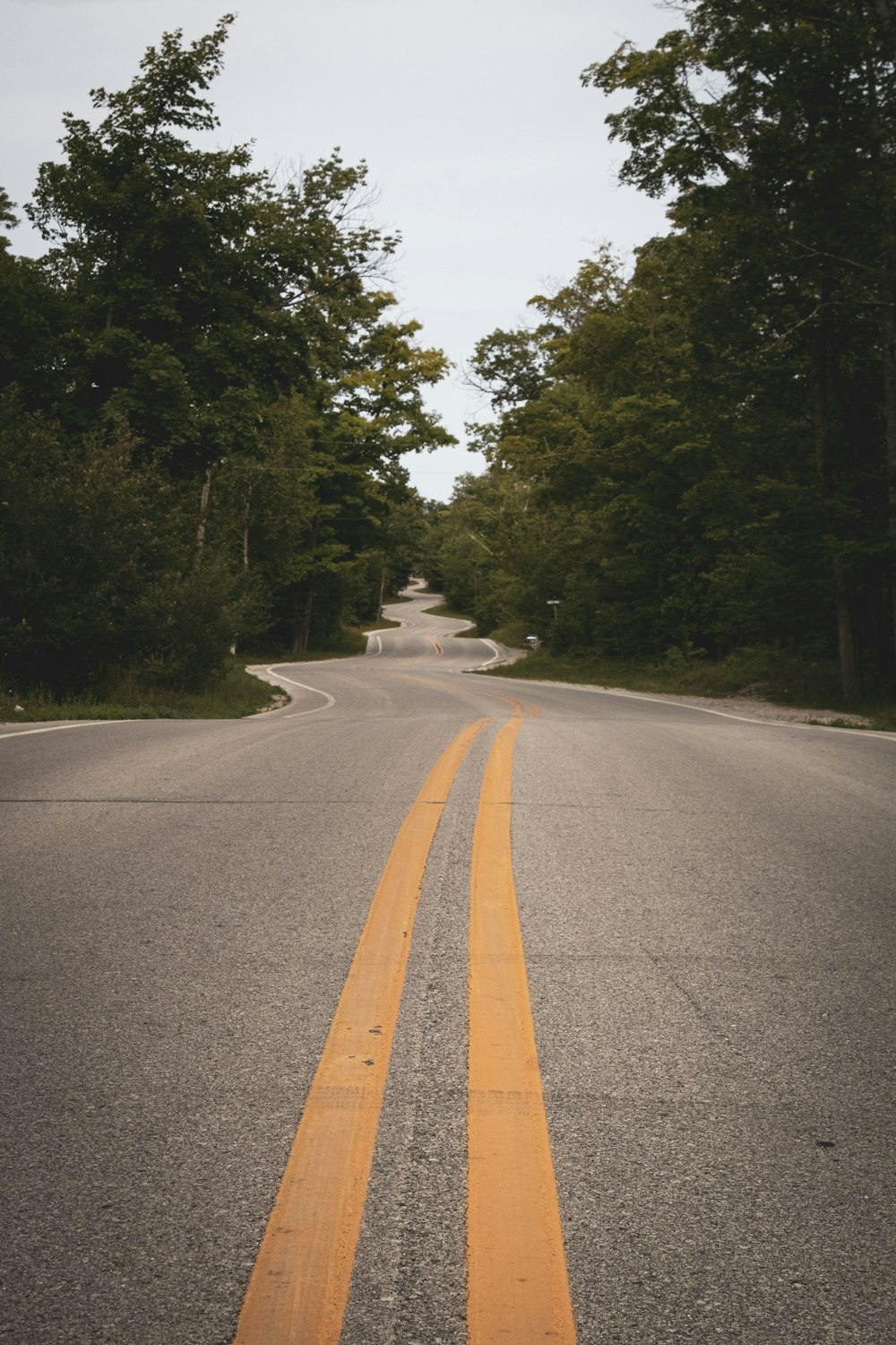 gray concrete road between green trees during daytime