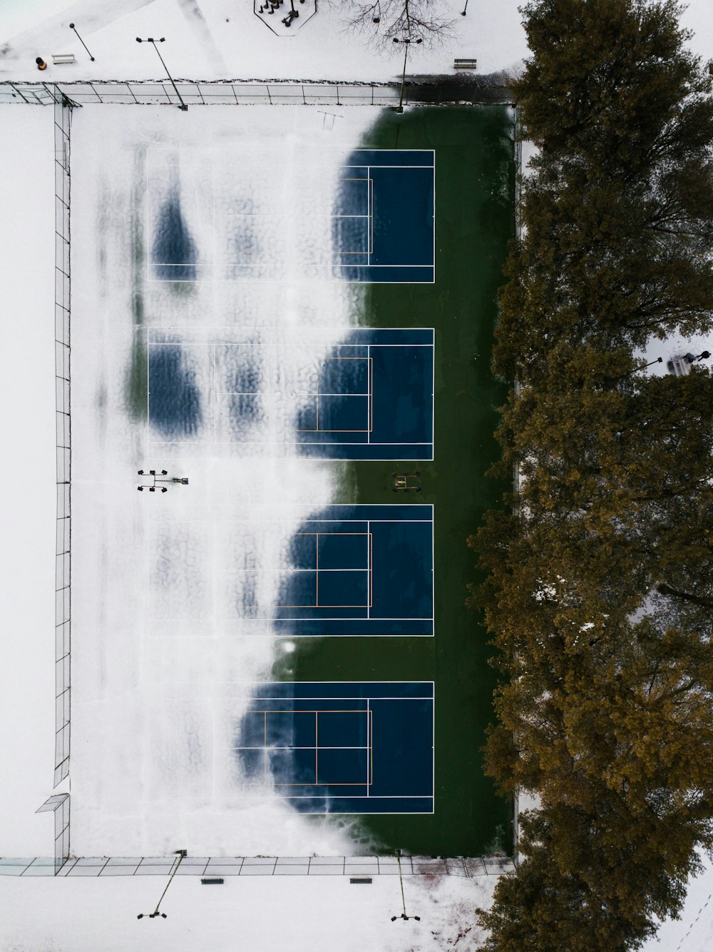 green trees near blue body of water