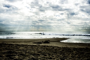 Photo 1599593895372 B904e3802292?q=85&w=300&h=400&fit=crop
