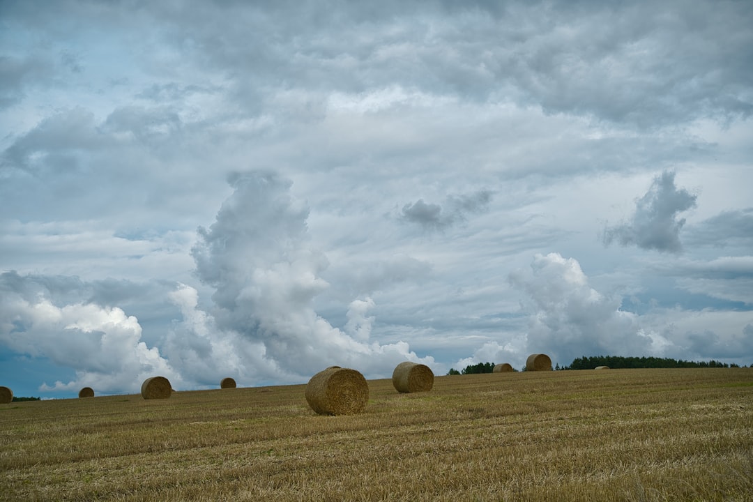 Plain photo spot JÃ¤rva-Jaani Estonia