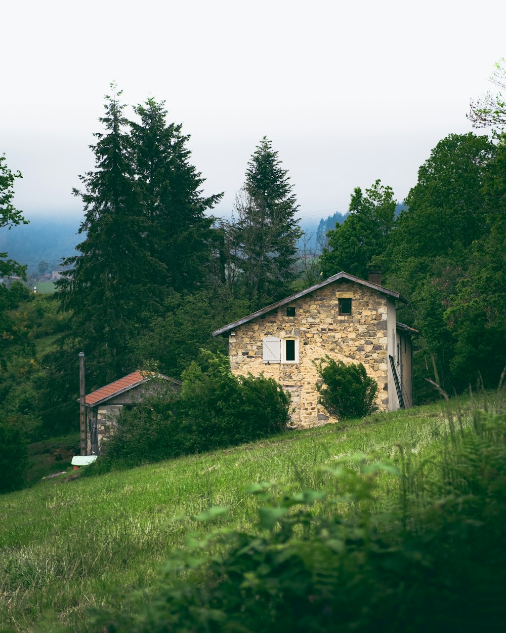 casa di cemento marrone e bianco vicino agli alberi verdi sotto il cielo bianco durante il giorno