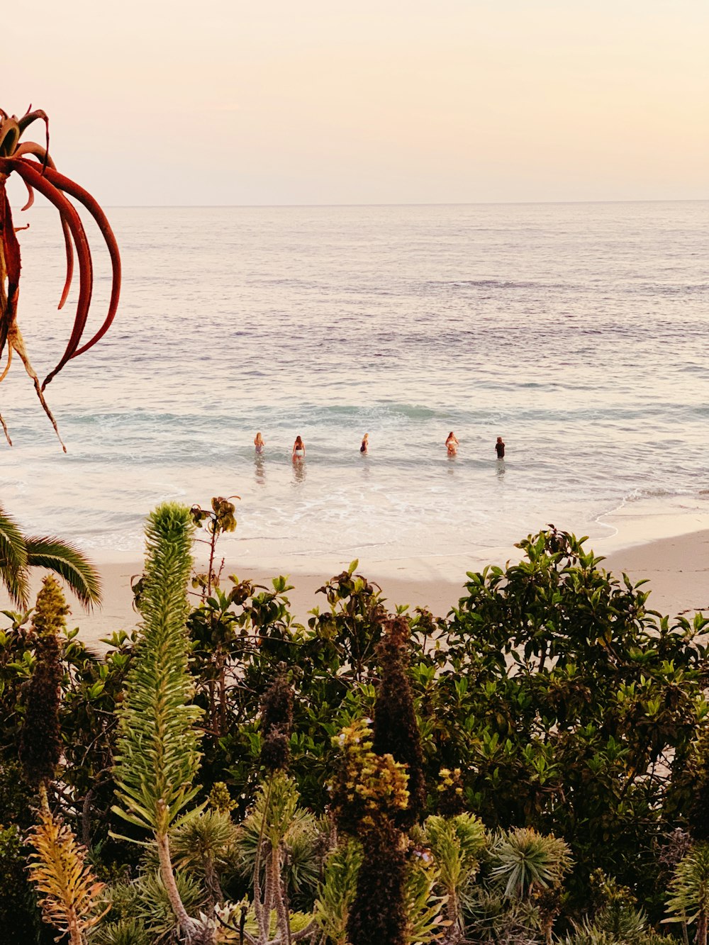 people on beach during daytime