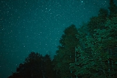 green trees under blue sky during night time dreamlike google meet background
