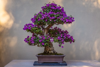 purple flowers on blue ceramic vase