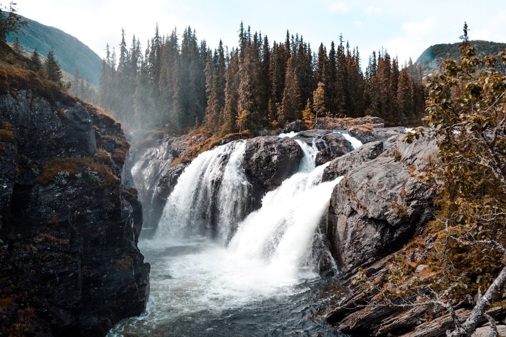 waterfalls in the middle of forest during daytime