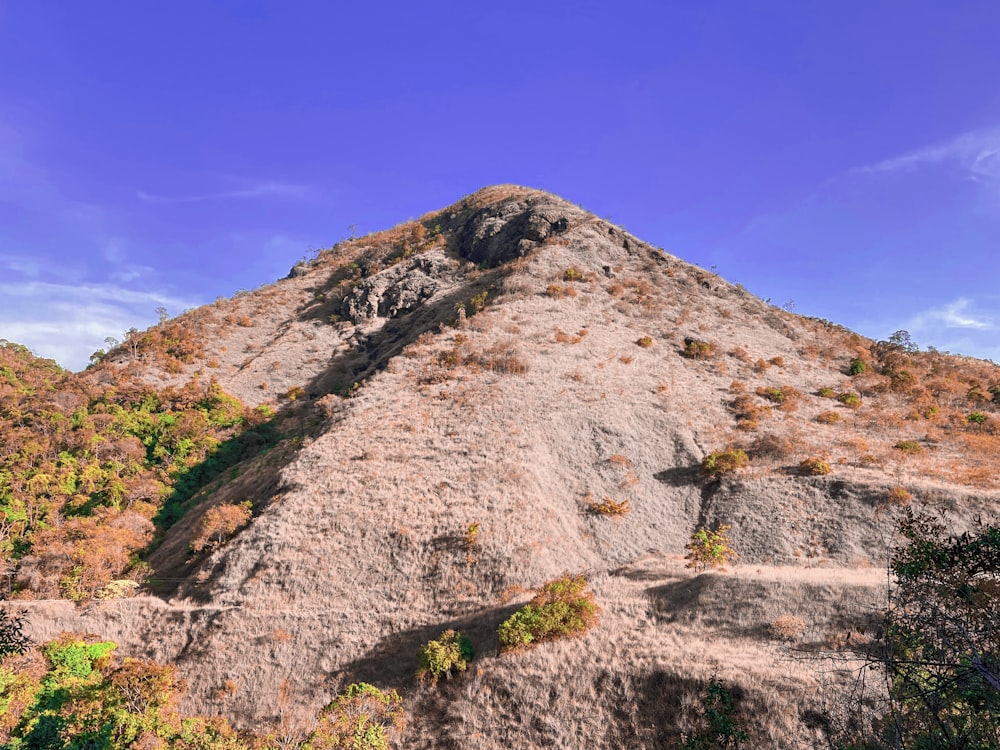 brown and green mountain under blue sky during daytime