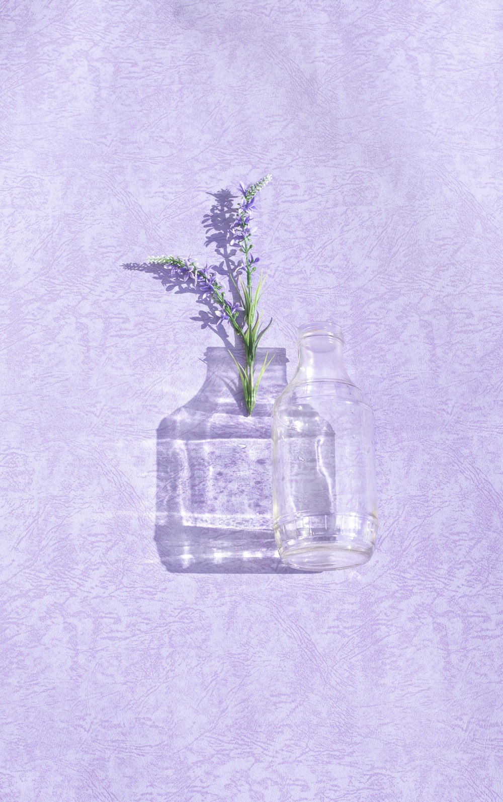 green plant in clear glass jar