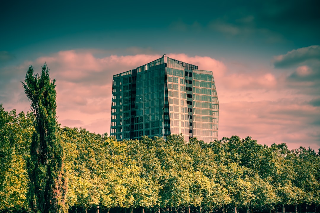 blue and white building near green trees under blue sky during daytime